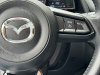 Mazda CX-3 2.0 SkyActiv-G 120 TS+ // NAVI // CLIMA // PDC // DAB // STOELVERWARMING // CRUISE 36