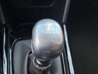 Peugeot 2008 1.2 PureTech GT-Line 131 PK // PANORAMADAK // HALF LEDER // NAVI // CLIMA // CRUISE // CAMERA+SENSOREN // 56