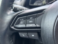 Mazda 2 1.5 Skyactiv-G TS+ // APPLE CARPLAY / ANDROID AUTO // CRUISE // CLIMA // STOELVERWARMING // BLUETOOTH // DODENHOEK SENSOR 40