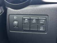 Mazda 2 1.5 Skyactiv-G TS+ // APPLE CARPLAY / ANDROID AUTO // CRUISE // CLIMA // STOELVERWARMING // BLUETOOTH // DODENHOEK SENSOR 52