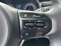 Kia Rio 1.0 TGDI DynamicLine // NAVI // CAMERA // TREKHAAK // CLIMA // CRUISE // APPLE CARPLAY / ANDROID AUTO // 42