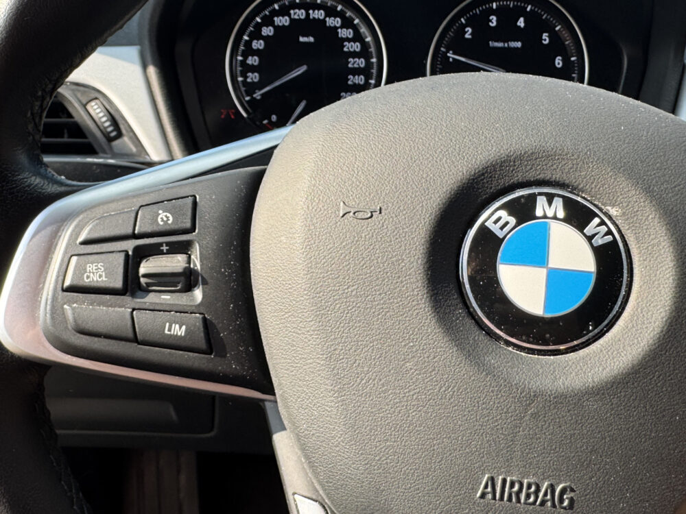 BMW X1 xDrive25e Executive // GROOT NAVI // CAMERA // CRUISE // CLIMA // STOEL VERWARMING // ELEK. KLEP // 11