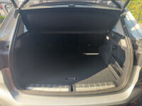 BMW X1 xDrive25e Executive // GROOT NAVI // CAMERA // CRUISE // CLIMA // STOEL VERWARMING // ELEK. KLEP // 53