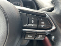 Mazda CX-3 2.0 SkyActiv-G 120 GT-M // FULL LED // NAVI // CAMERA // CLIMA // PDC // HUD // BOSE AUDIO 42