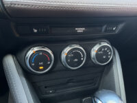 Mazda CX-3 2.0 SkyActiv-G 120 GT-Luxury // HEAD-UP DISPLAY // LEDER // ELEK. STOEL+GEHEUGEN // DODEHOEK // CAMERA+SENSOREN // NAVI // 64