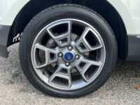 Ford EcoSport 1.0 EcoBoost Titanium // HALF-LEDER // CRUISE // PDC // CLIMA // KEYLESS // TREKHAAK!! 39