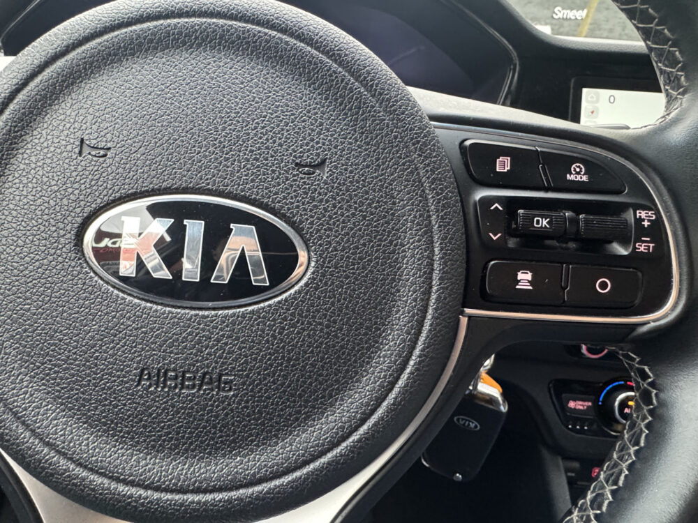 Kia Niro 1.6 GDi Hybrid DynamicLine // ADAPTIEVE CRUISE // LED // NAVI+CARPLAY // CAMERA // CLIMA /// 17