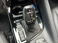 BMW X1 sDrive20i Executive X-Line // LED // LEDER // HEAD-UP DISPLAY // ELEK. ACHTERKLEP // NAVI // PDC V+A // 52