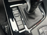 BMW X1 sDrive20i Executive X-Line // LED // LEDER // HEAD-UP DISPLAY // ELEK. ACHTERKLEP // NAVI // PDC V+A // 53