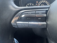 Mazda CX-30 2.0 e-SkyActiv-X M Hybrid Luxury // NAVI // LEDER // TREKHAAK // CAMERA // MEMORY SEATS // BOSE AUDIO // 50