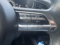 Mazda CX-30 2.0 e-SkyActiv-X M Hybrid Luxury // NAVI // LEDER // TREKHAAK // CAMERA // MEMORY SEATS // BOSE AUDIO // 51