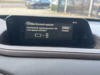 Mazda CX-30 2.0 e-SkyActiv-X M Hybrid Luxury // NAVI // LEDER // TREKHAAK // CAMERA // MEMORY SEATS // BOSE AUDIO // 54