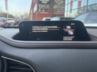 Mazda CX-30 2.0 e-SkyActiv-X M Hybrid Luxury // NAVI // LEDER // TREKHAAK // CAMERA // MEMORY SEATS // BOSE AUDIO // 56