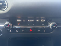 Mazda CX-30 2.0 e-SkyActiv-X M Hybrid Luxury // NAVI // LEDER // TREKHAAK // CAMERA // MEMORY SEATS // BOSE AUDIO // 58