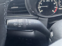 Mazda CX-30 2.0 e-SkyActiv-X M Hybrid Luxury // NAVI // LEDER // TREKHAAK // CAMERA // MEMORY SEATS // BOSE AUDIO // 65