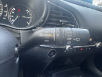 Mazda CX-30 2.0 e-SkyActiv-X M Hybrid Luxury // NAVI // LEDER // TREKHAAK // CAMERA // MEMORY SEATS // BOSE AUDIO // 66