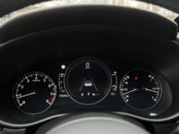 Mazda CX-30 2.0 e-SkyActiv-X M Hybrid Luxury 180 PK!! // NAVI // LEDER // TREKHAAK // CAMERA // MEMORY SEATS // BOSE AUDIO // 78