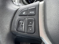 Suzuki S-Cross 1.4 Boosterjet High Executive // NAVI // CAMERA // SCHUIF-KANTEL DAK // ADAPTIVE CRUISE // LEDEREN BEKLEDING // 47