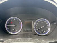 Suzuki S-Cross 1.4 Boosterjet High Executive // NAVI // CAMERA // SCHUIF-KANTEL DAK // ADAPTIVE CRUISE // LEDEREN BEKLEDING // 55