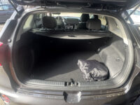 Kia Niro 1.6 GDi PHEV ExecutiveLine // JBL PREMIUM AUDIO // NAVI // CAMERA // MEMORY SEATS // ADAPTIVE CRUISE // 71