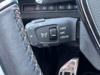 Peugeot 3008 1.6 HYbrid 225 GT // SCHUIF-KANTELDAK // ADAPT. CRUISE // DODEHOEK // ELEK. ACHTERKLEP // 360 CAMERA // NAVI+CARPLAY // 63