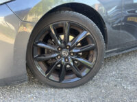 Mazda 3 2.0 e-SkyActiv-X M Hybrid 180 Luxury // HEAD-UP DISPLAY // DODEHOEK // BOSE // ELEK.STOEL+GEHEUGEN // LEDER // 360 CAMERA // 49