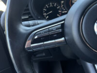 Mazda 3 2.0 e-SkyActiv-X M Hybrid 180 Luxury // HEAD-UP DISPLAY // DODEHOEK // BOSE // ELEK.STOEL+GEHEUGEN // LEDER // 360 CAMERA // 60