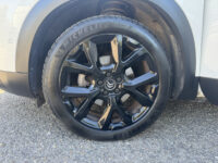 Citroën C5 Aircross 1.2 PureTech Business // NAVI // CAMERA // TREKHAAK // CLIMA // CRUISE // DODENHOEK SENSOR // 38