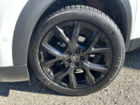 Citroën C5 Aircross 1.2 PureTech Business // NAVI // CAMERA // TREKHAAK // CLIMA // CRUISE // DODENHOEK SENSOR // 63