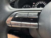Mazda 3 2.0 e-SkyActiv-G M Hybrid 122 PK // NAVI // CLIMA // ADAPTIVE CRUISE // CAMERA // APPLE CARPLAY - ANDROID AUTO // STOEL + STUUR  38