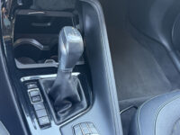 BMW X1 xDrive20i Executive // PANO / SCHUIF- KANTELDAK // NAVI // PDC V+A // CRUISE // TREKHAAK // ELEK. ACHTERKLEP // 61