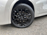 Mazda CX-60 2.5 e-SkyActiv PHEV Homura 4 OPTION PACKS // FAB. Garantie tot 13-12-2028 // FULL OPTIONS // PANODAK // ELEK.KLEP // ADAPT. CRUI 56