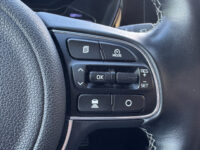 Kia Niro 1.6 GDi PHEV ExecutiveLine // JBL AUDIO // MEMORY SEATS // LEDEREN BEKLEDING // ADAPTIVE CRUISE // 54