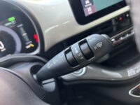 Fiat 500 Icon 42 kWh 118pk // APPLE CARPLAY / ANDROID AUTO // CLIMA // CRUISE-CONTROL // 16'' LMV 42