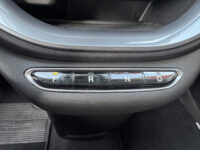 Fiat 500 Icon 42 kWh 118pk // APPLE CARPLAY / ANDROID AUTO // CLIMA // CRUISE-CONTROL // 16'' LICHT METALEN VELGEN // 47