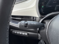 Fiat 500 Icon 42 kWh 118pk // APPLE CARPLAY / ANDROID AUTO // CLIMA // CRUISE-CONTROL // 16'' LICHT METALEN VELGEN // 49