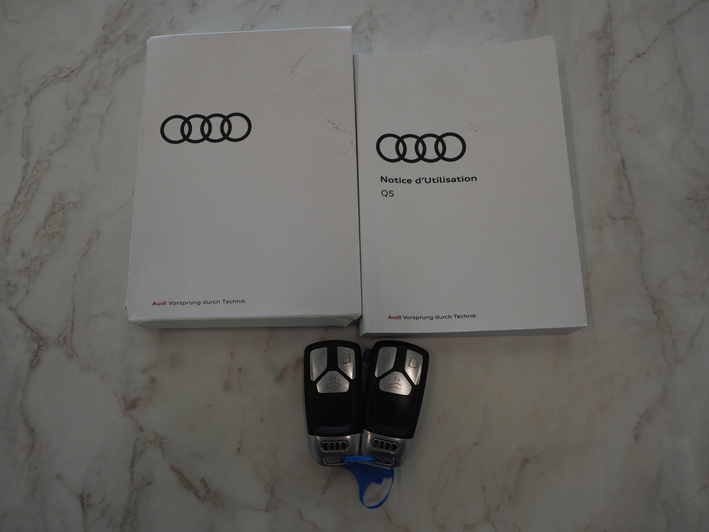 Audi Q5 55 TFSI e quattro Competition 48