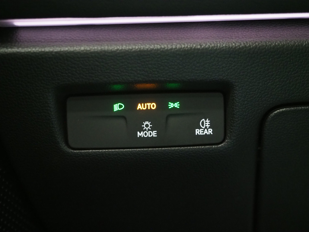 Volkswagen Passat Variant 1.5 eHybrid 204PK 19