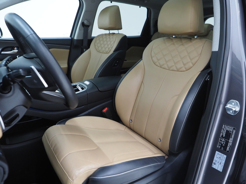 Hyundai Santa Fe 1.6 T-GDI PHEV Premium Sky 7p. 3