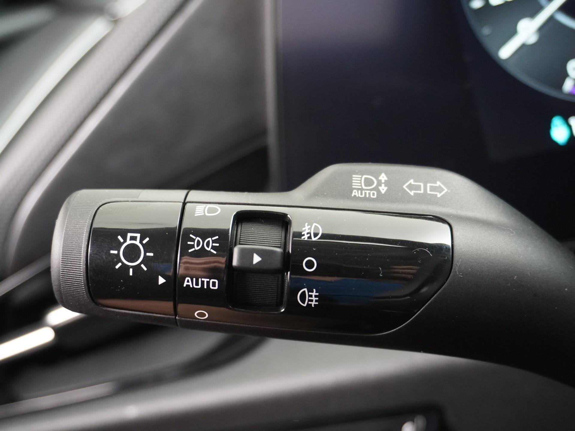 Kia Niro EV 64.8 kWh 19