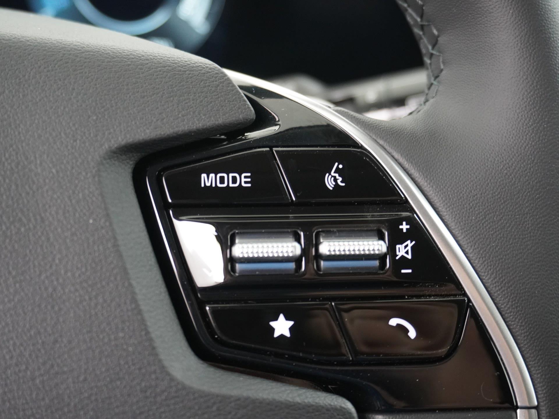 Kia Niro EV 64.8 kWh 22