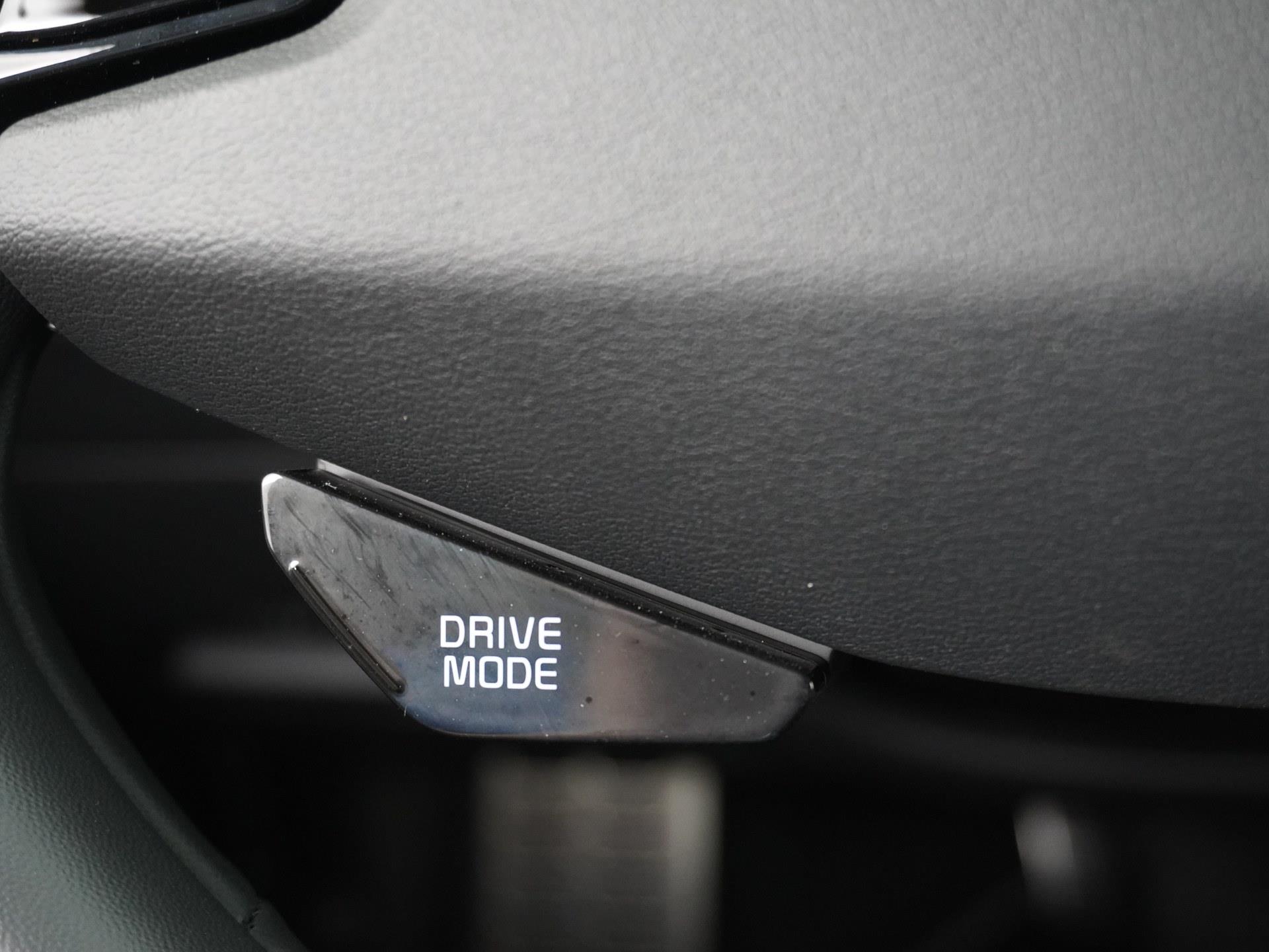 Kia Niro EV 64.8 kWh 23