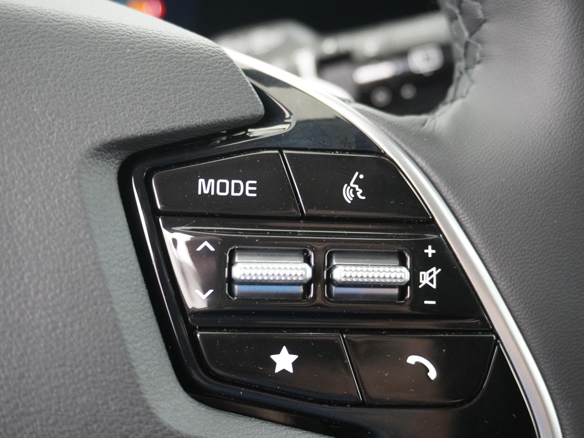 Kia Niro EV 64.8 kWh 22