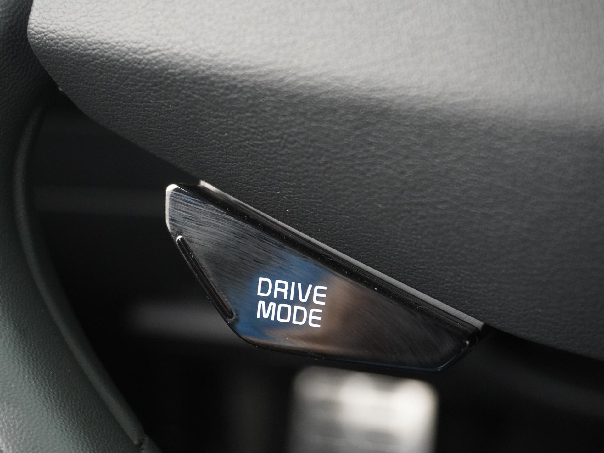 Kia Niro EV 64.8 kWh 23