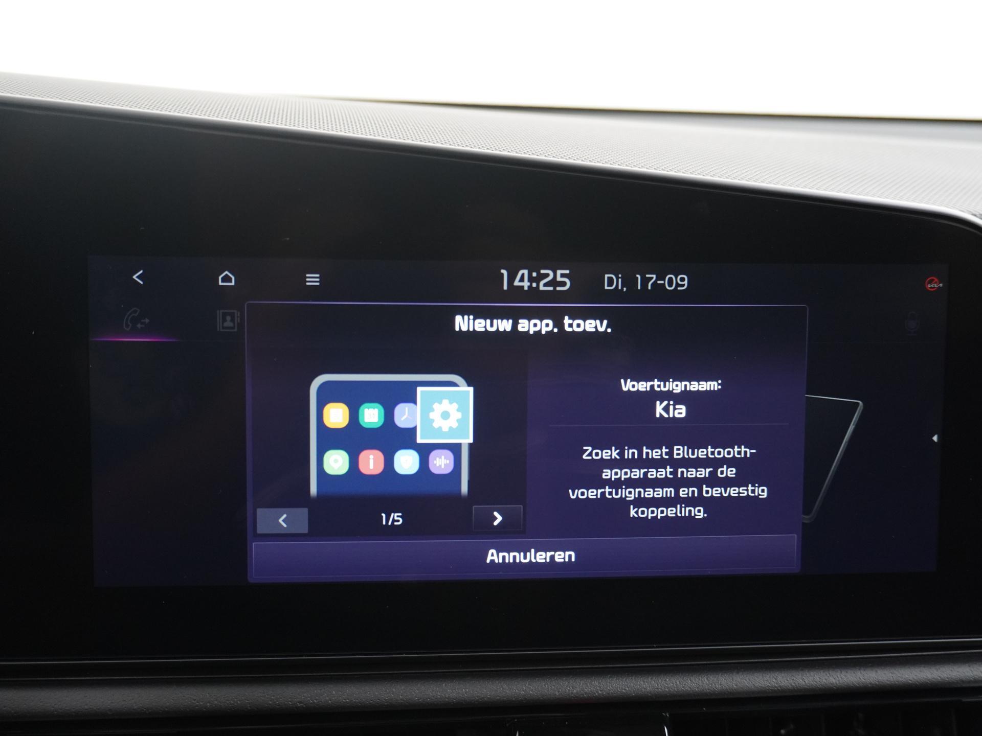 Kia Niro EV 64.8 kWh 29