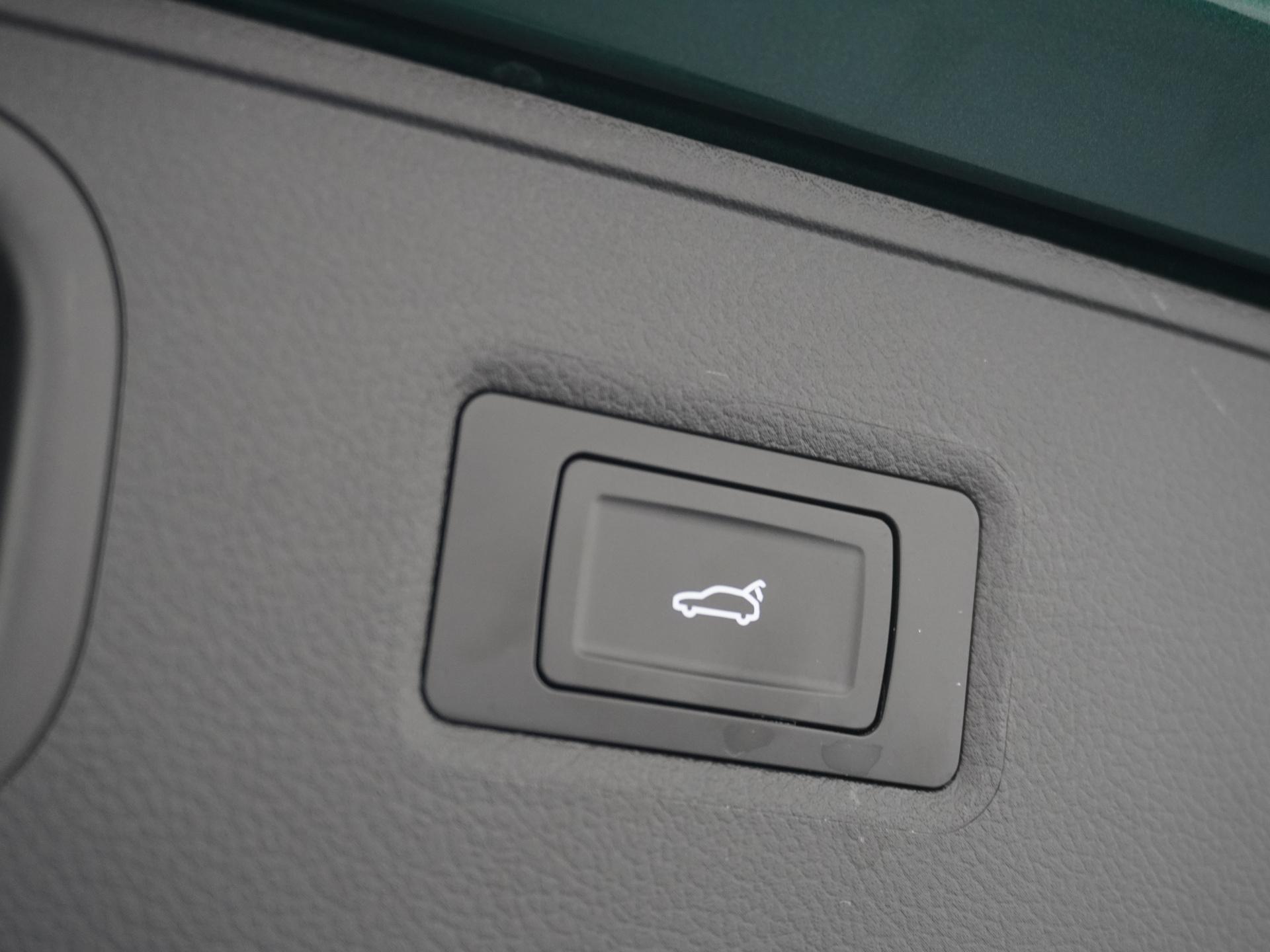 VOYAH Free Business Edition 4WD 106 kWh 13