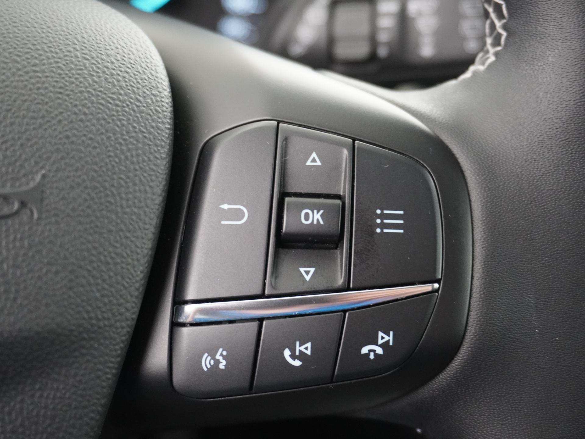 Ford Fiesta 1.0 EcoBoost Hybrid Titanium X 30