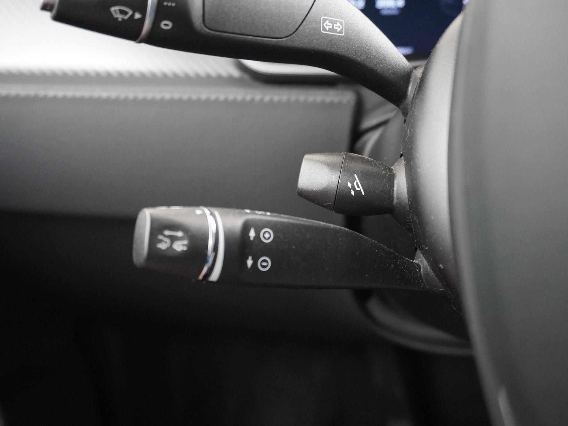 Tesla Model X 100D 31