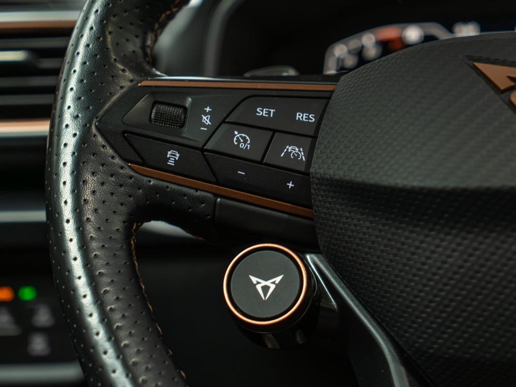 Cupra Leon Sportstourer 1.4 E-Hybrid VZ Performance 14