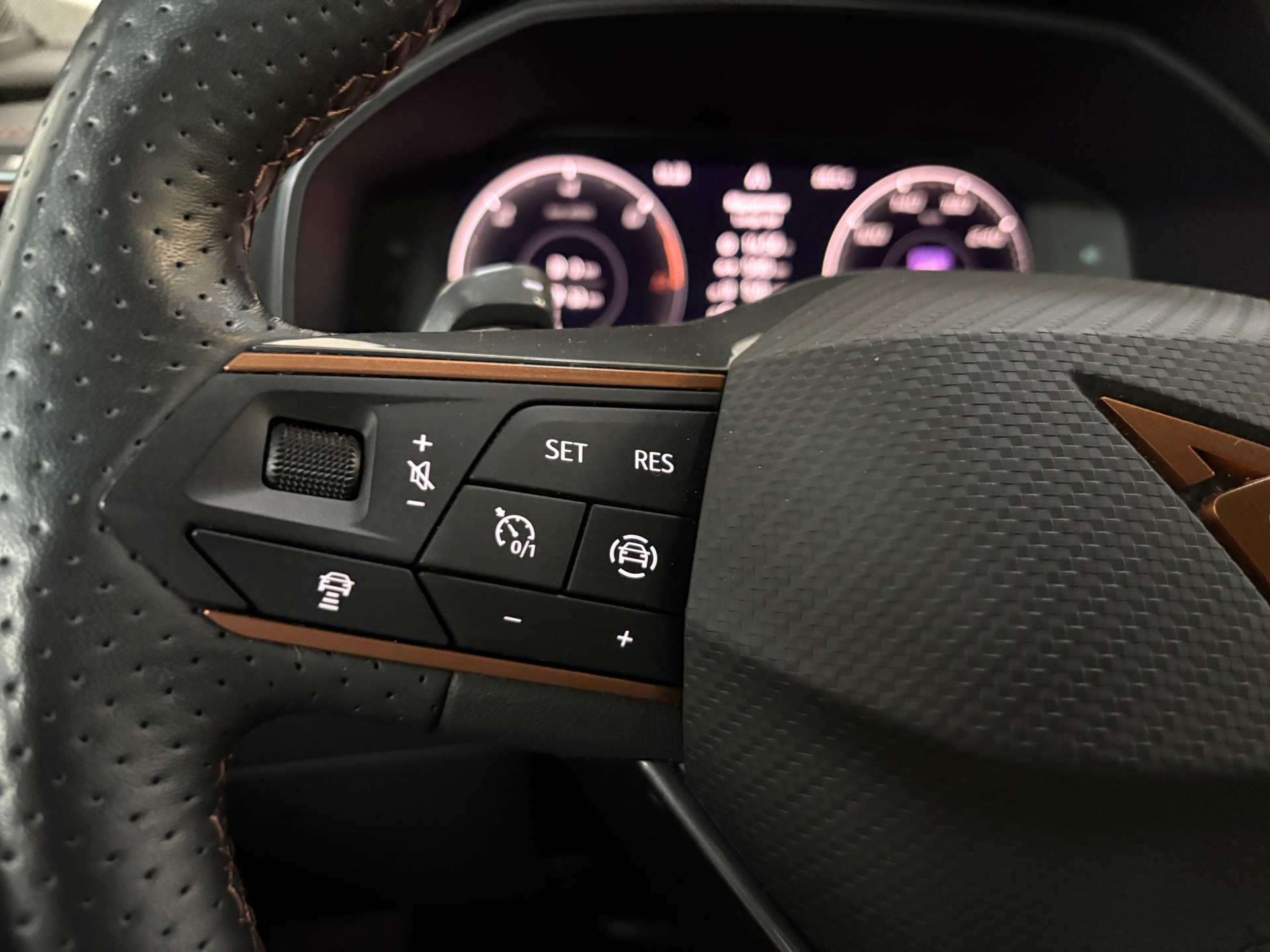 Cupra Formentor 1.4 e-Hybrid 204PK ACC/Pano/CARP 13